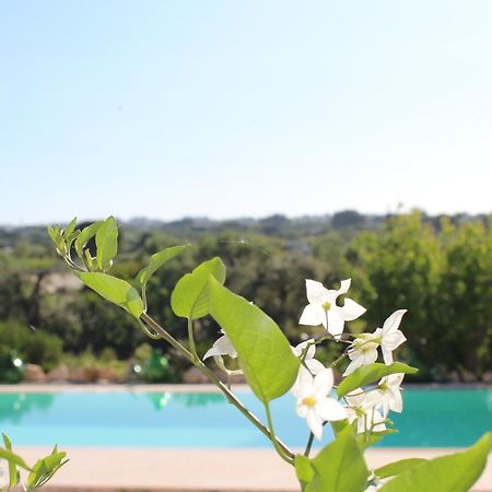 Trullo Il Melograno Guest House Ostuni Bagian luar foto