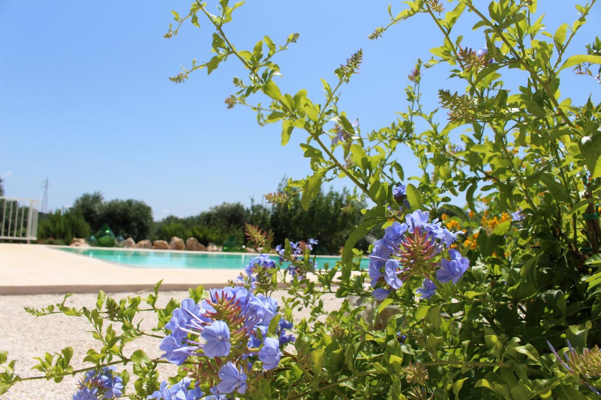Trullo Il Melograno Guest House Ostuni Bagian luar foto